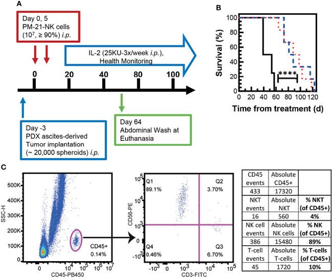 CD45 Antibody in Flow Cytometry (Flow)