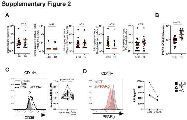 PPAR gamma Antibody in Flow Cytometry (Flow)