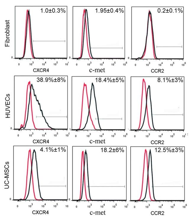 c-Met Antibody in Flow Cytometry (Flow)