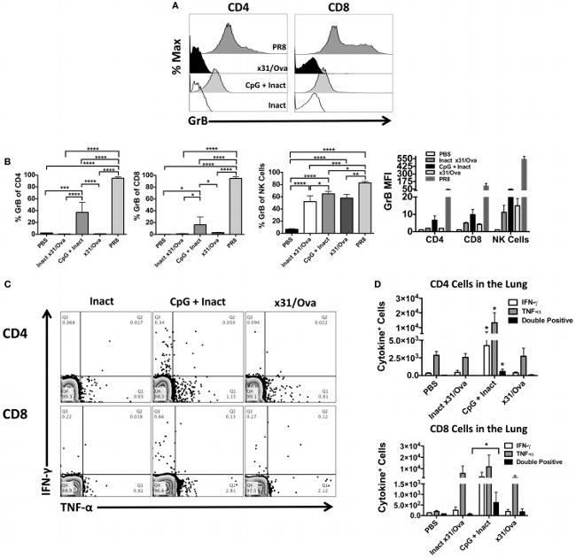 CD8a Antibody in Flow Cytometry (Flow)