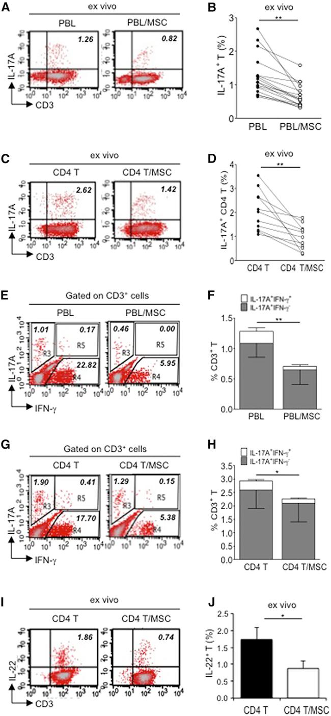 CD3e Antibody in Flow Cytometry (Flow)