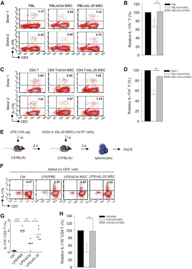 CD3e Antibody in Flow Cytometry (Flow)