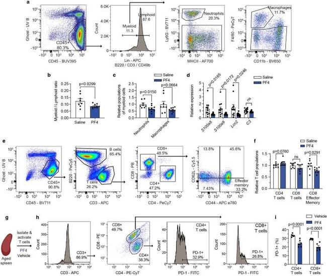 CD45R (B220) Antibody in Flow Cytometry (Flow)