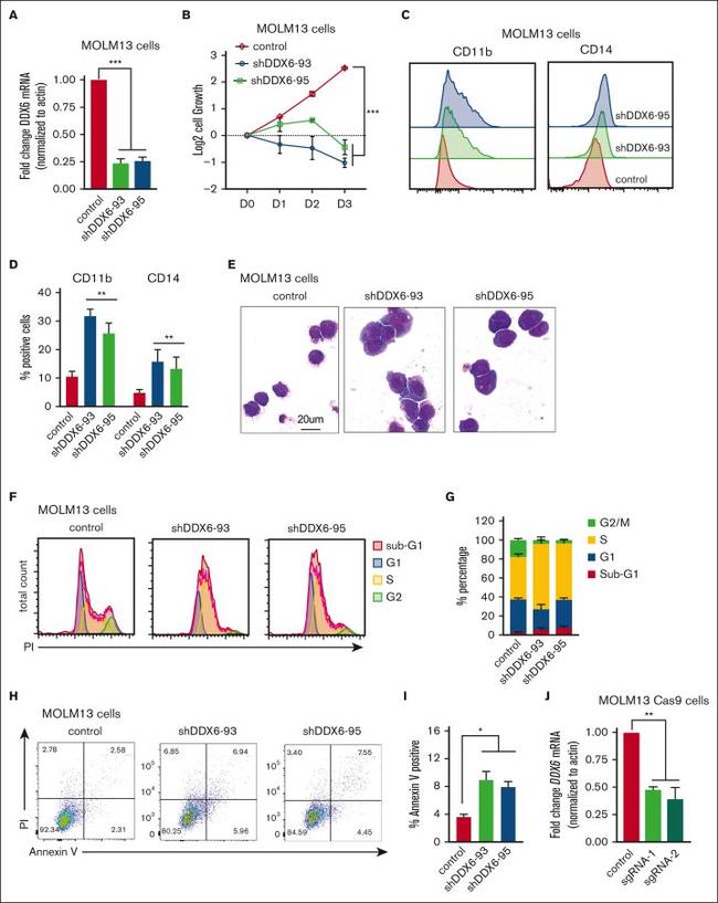 CD45 Antibody in Flow Cytometry (Flow)