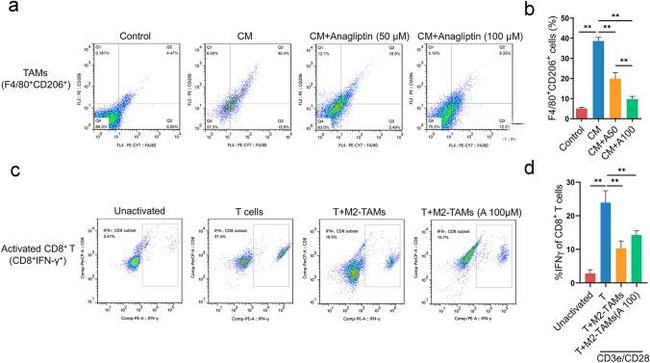 F4/80 Antibody in Flow Cytometry (Flow)