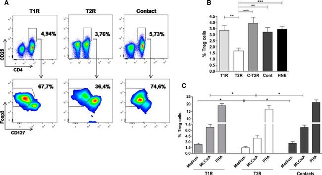 FOXP3 Antibody in Flow Cytometry (Flow)