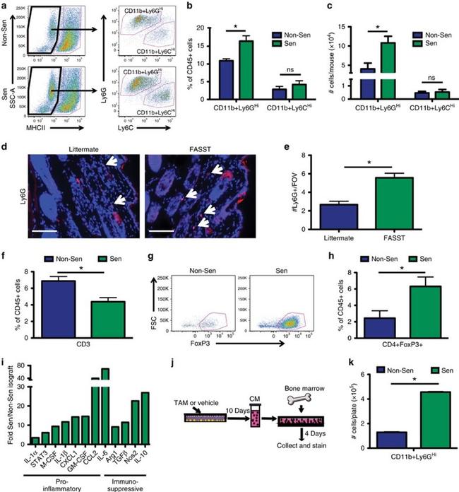 CD3e Antibody in Flow Cytometry (Flow)