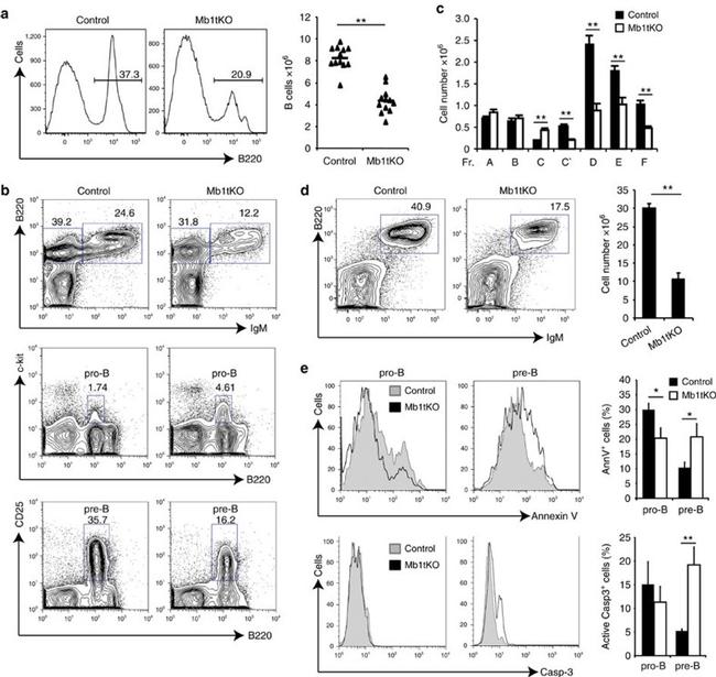 CD117 (c-Kit) Antibody in Flow Cytometry (Flow)