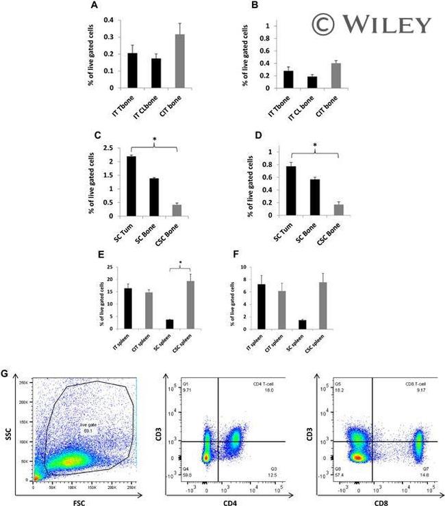 CD8a Antibody in Flow Cytometry (Flow)