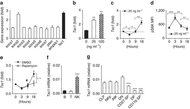 CD3 Antibody in Flow Cytometry (Flow)