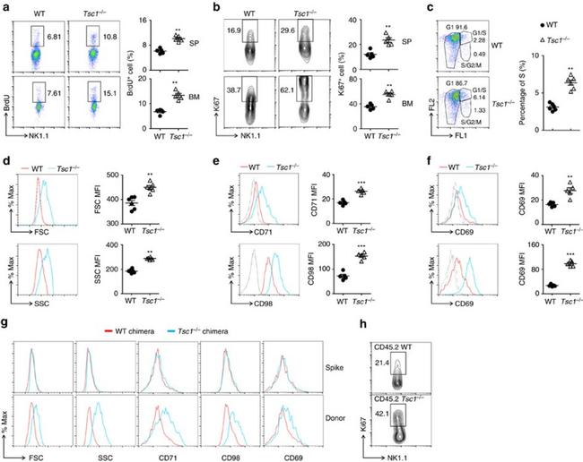 CD3 Antibody in Flow Cytometry (Flow)