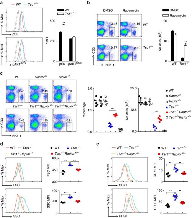 CD3 Antibody in Flow Cytometry (Flow)