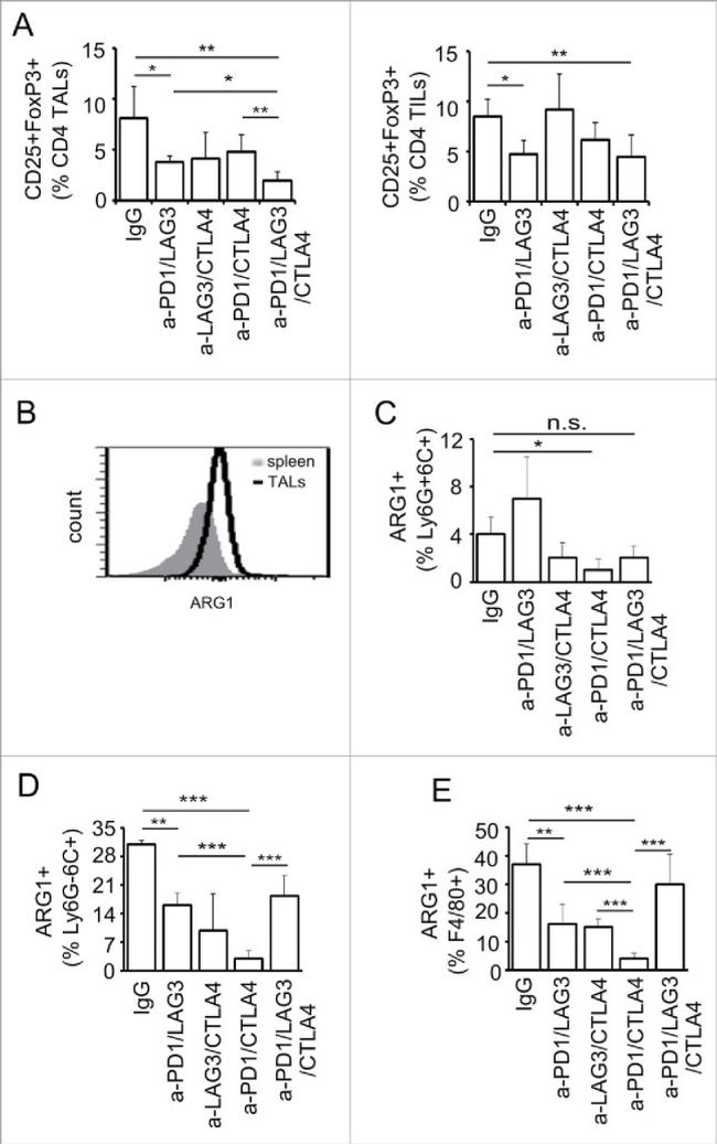 CD25 Antibody in Flow Cytometry (Flow)