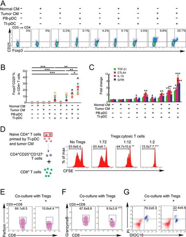 FOXP3 Antibody in Flow Cytometry (Flow)