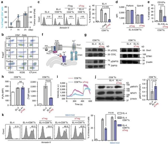 CD25 Antibody in Flow Cytometry (Flow)