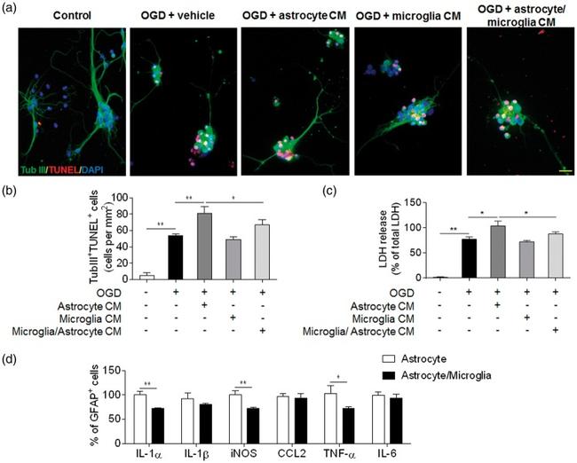 IL-6 Antibody in Flow Cytometry (Flow)