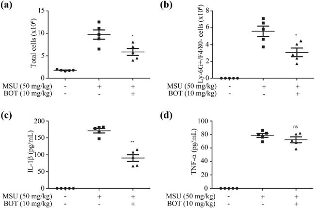 F4/80 Antibody in Flow Cytometry (Flow)