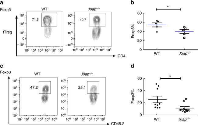 FOXP3 Antibody in Flow Cytometry (Flow)