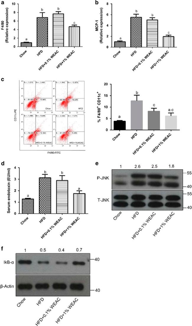 F4/80 Antibody in Flow Cytometry (Flow)