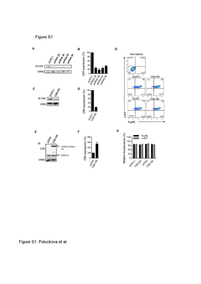 CD117 (c-Kit) Antibody in Flow Cytometry (Flow)