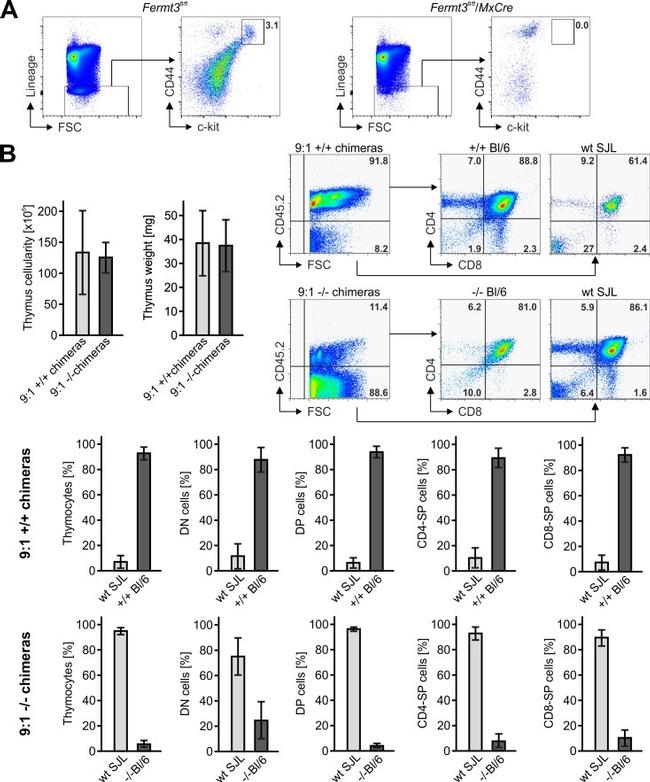 CD19 Antibody in Flow Cytometry (Flow)