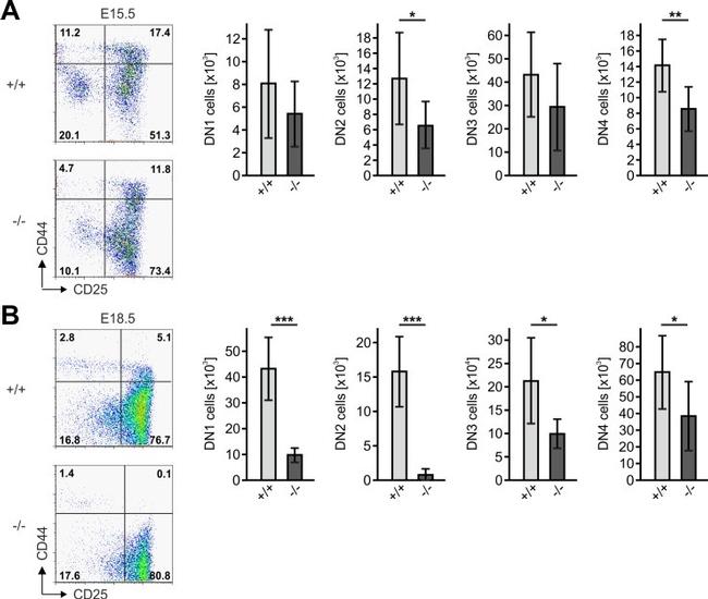 CD19 Antibody in Flow Cytometry (Flow)