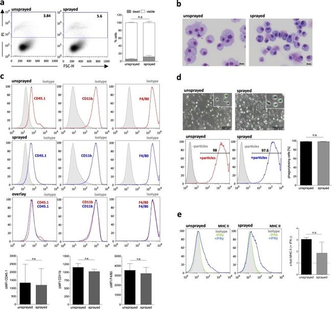 F4/80 Antibody in Flow Cytometry (Flow)