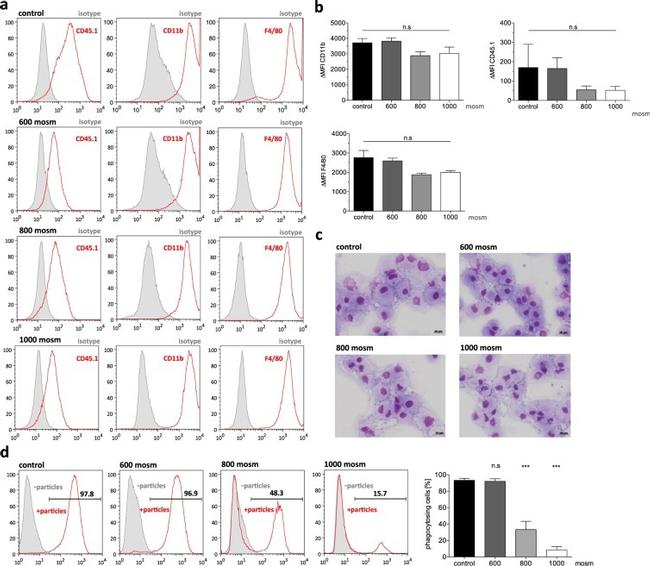 F4/80 Antibody in Flow Cytometry (Flow)