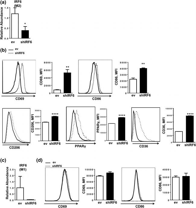 PPAR gamma Antibody in Flow Cytometry (Flow)