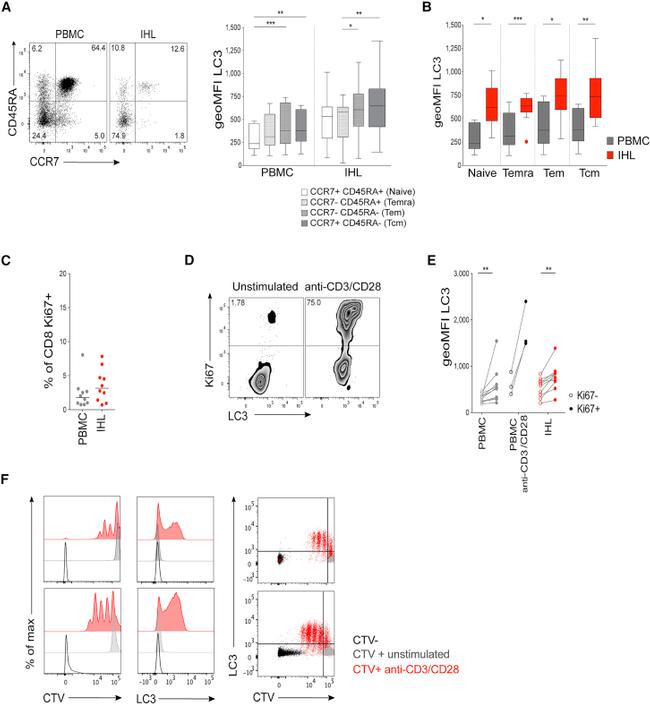 Ki-67 Antibody in Flow Cytometry (Flow)