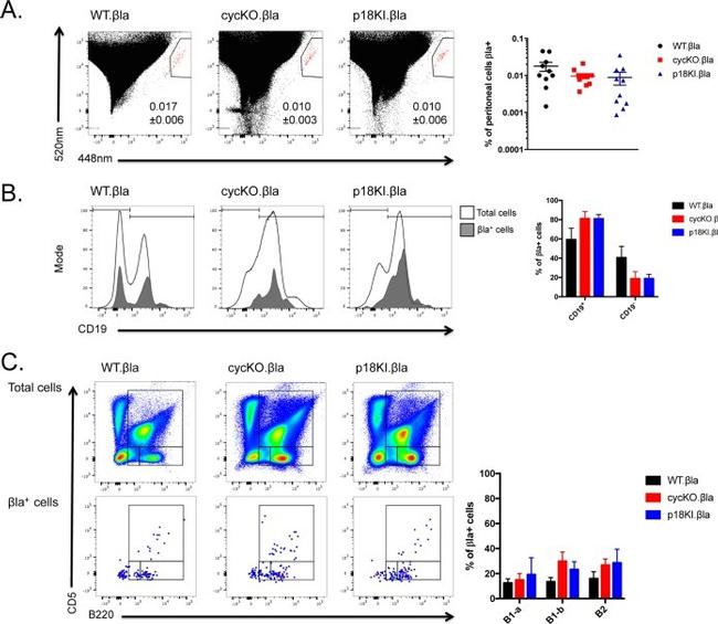 CD45R (B220) Antibody in Flow Cytometry (Flow)