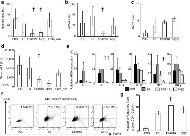 CD25 Antibody in Flow Cytometry (Flow)