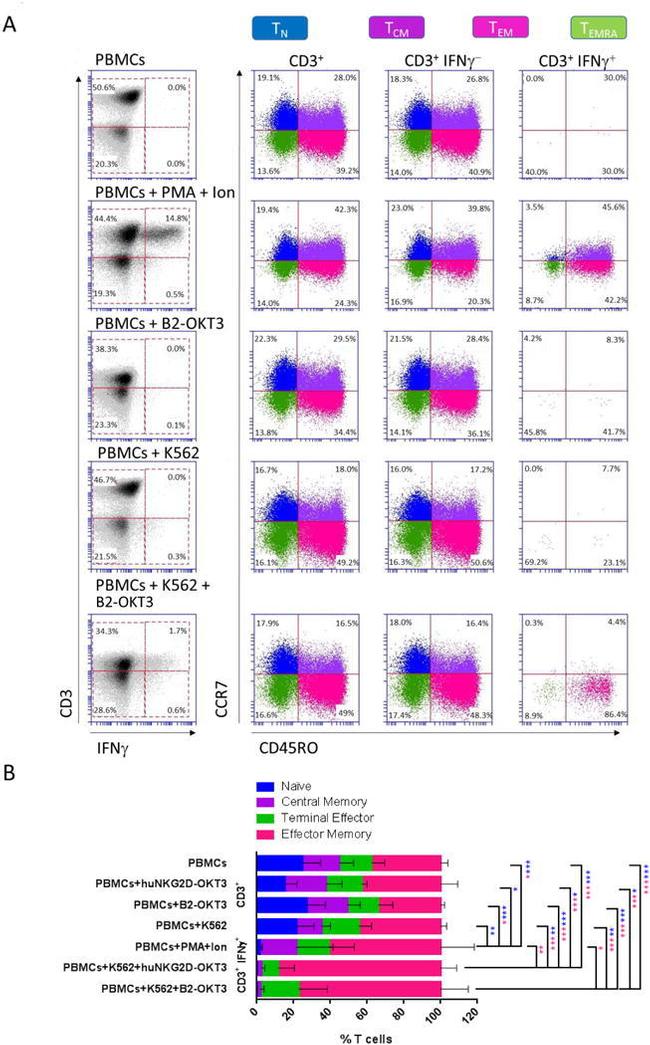 CD3 Antibody in Flow Cytometry (Flow)