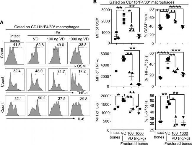 IL-6 Antibody in Flow Cytometry (Flow)