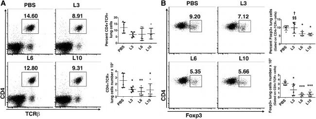 FOXP3 Antibody in Flow Cytometry (Flow)