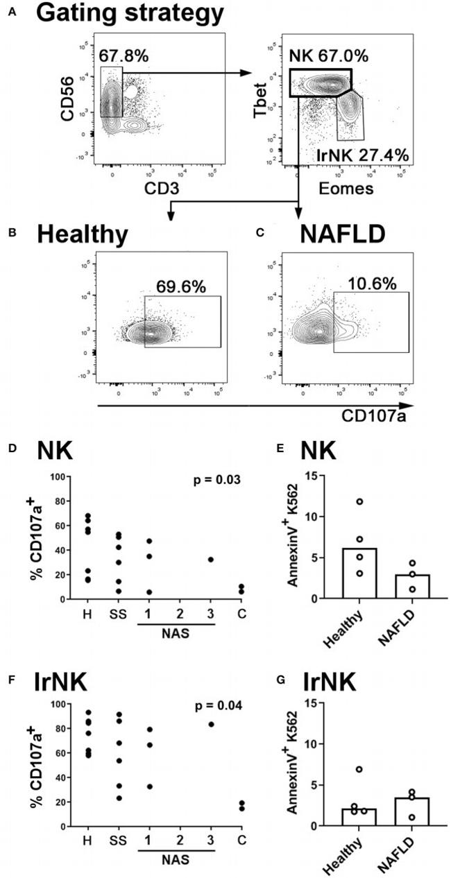 CD45 Antibody in Flow Cytometry (Flow)