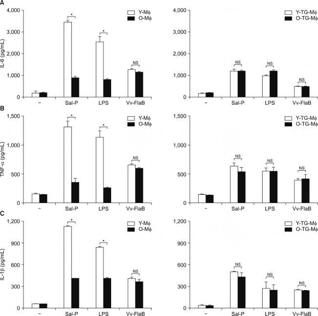 IL-6 Antibody in ELISA (ELISA)