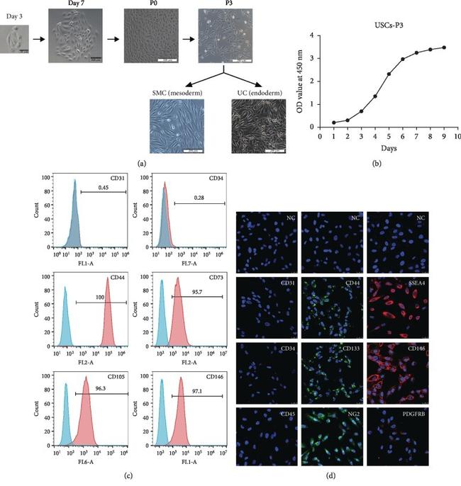 CD44 Antibody in Flow Cytometry (Flow)