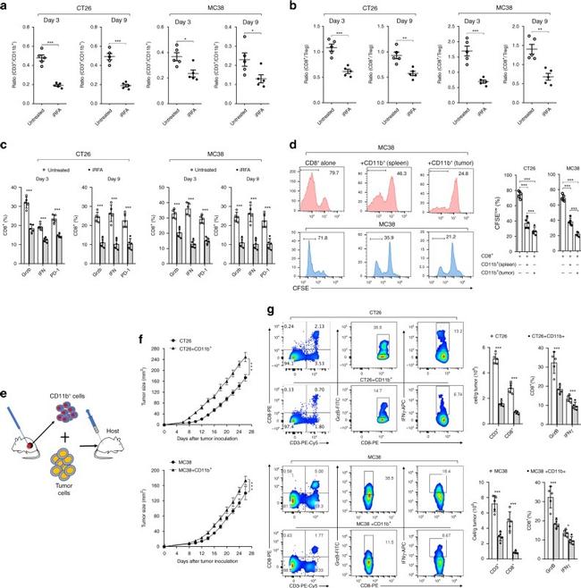 CD3 Antibody in Flow Cytometry (Flow)