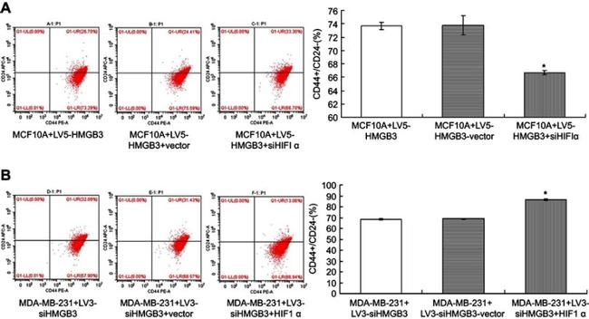 CD44 Antibody in Flow Cytometry (Flow)