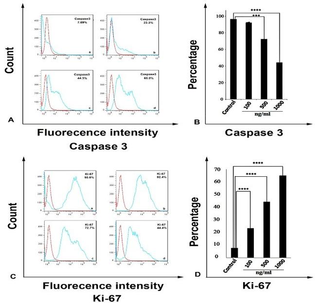 Ki-67 Antibody in Flow Cytometry (Flow)