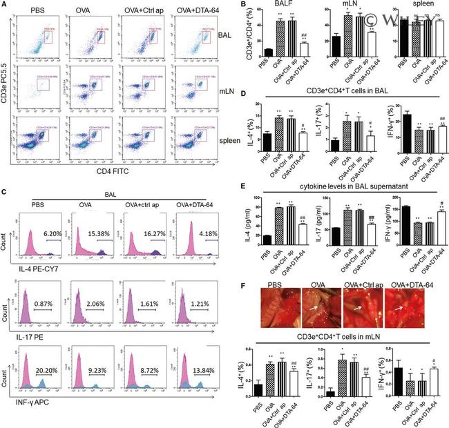 CD3e Antibody in Flow Cytometry (Flow)