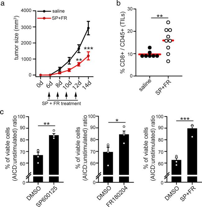 CD3 Antibody in T-Cell Activation (TCA)