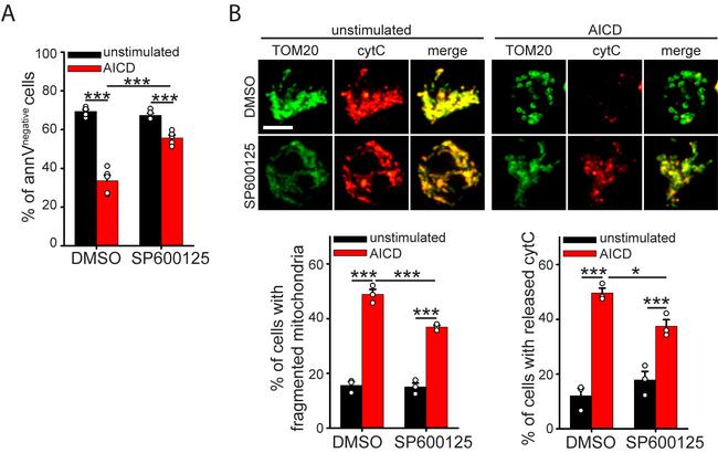 CD3 Antibody in T-Cell Activation (TCA)