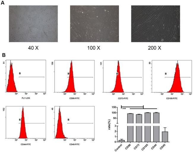 CD45 Antibody in Flow Cytometry (Flow)