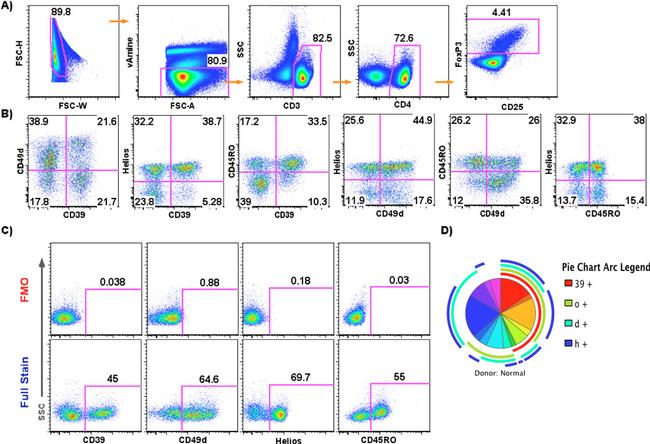 FOXP3 Antibody in Flow Cytometry (Flow)