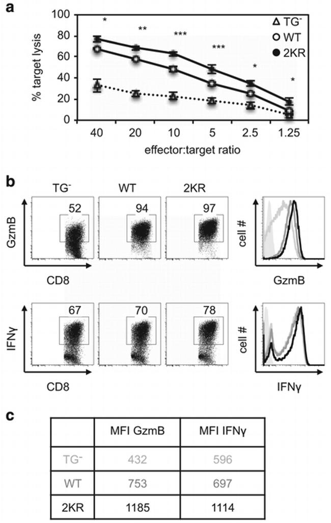 IFN gamma Antibody in Flow Cytometry (Flow)