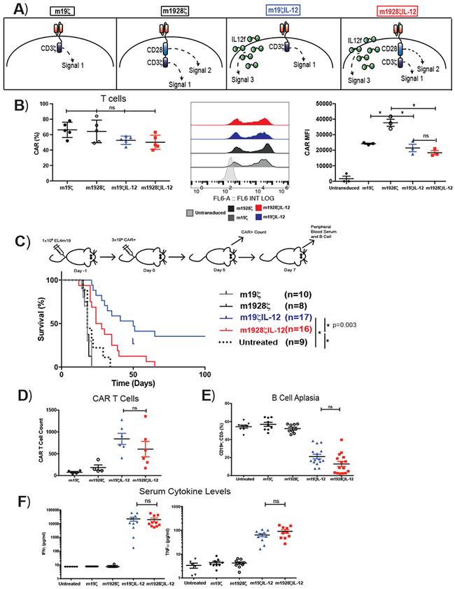 CD3e Antibody in Flow Cytometry (Flow)