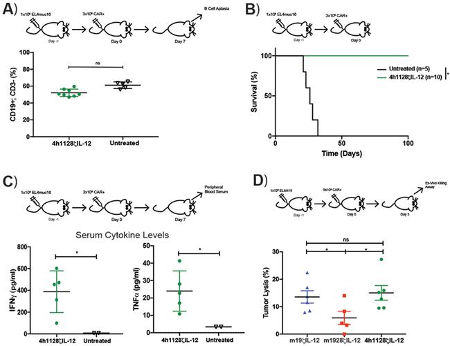 CD3e Antibody in Flow Cytometry (Flow)