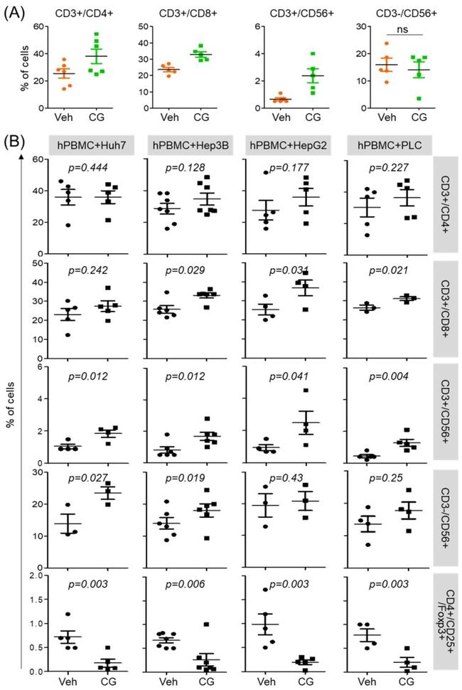 FOXP3 Antibody in Flow Cytometry (Flow)